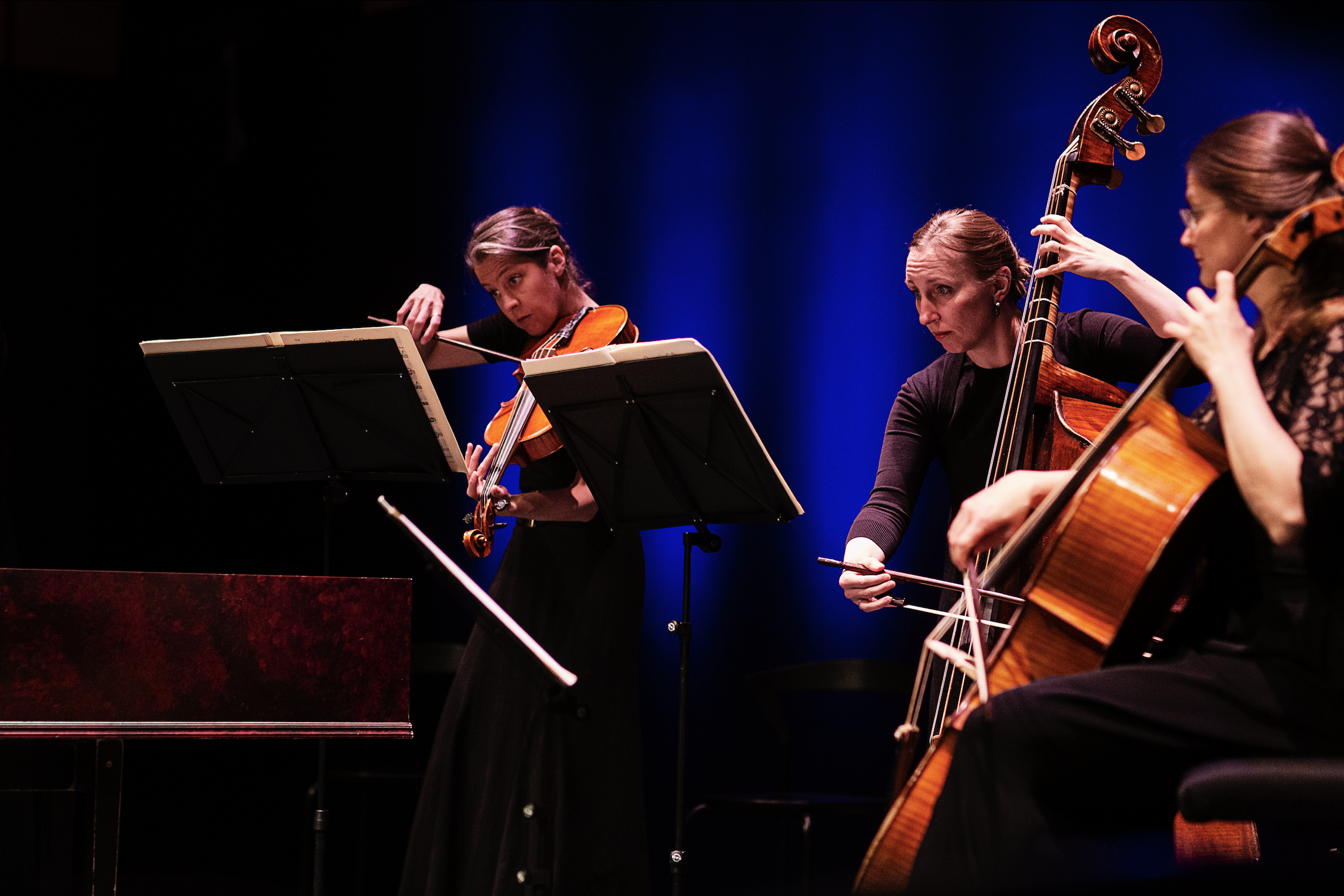 Dronning Kristina 400 år – dronning og muse